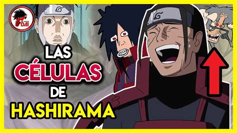 Ilustración de las células de Hashirama Senju