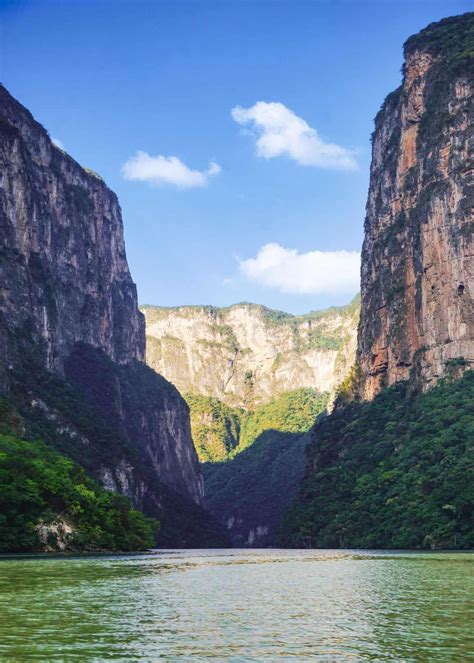 Los Ryoka disparados desde el cañón de Kūkaku