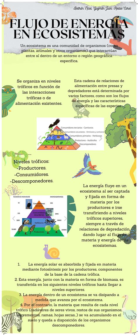 Infografía sobre el flujo de la Energía Maldita