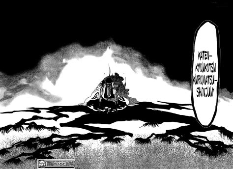 Syunsui Kyōraku con su Zanpakutō Katen Kyōkotsu