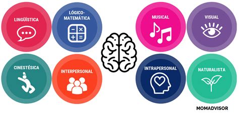 Representación visual de las 8 inteligencias múltiples de Howard Gardner
