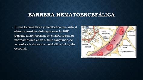 Esquema de la Barrera Autorreparable