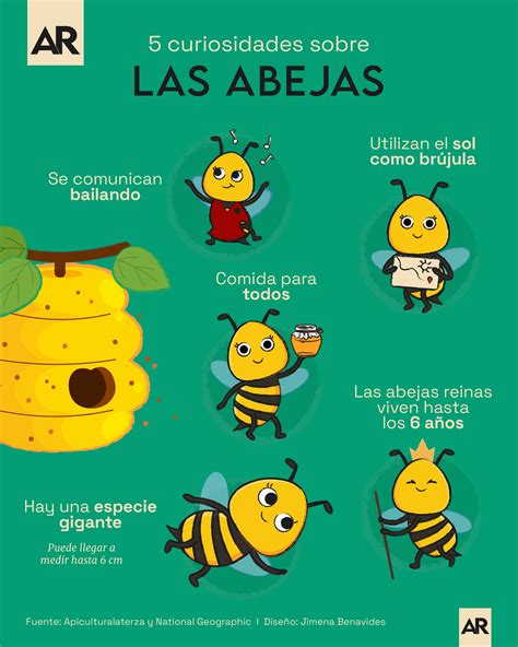 Infografía comparando las defensas de las abejas europeas y japonesas contra los avispones