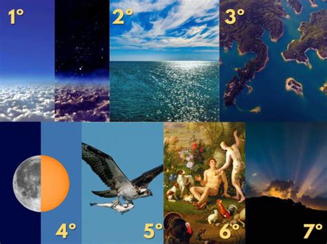 Diagrama de la creación de Mitsuki por Orochimaru