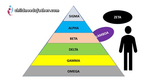 Infografía sobre la jerarquía Alfa, Beta, Omega