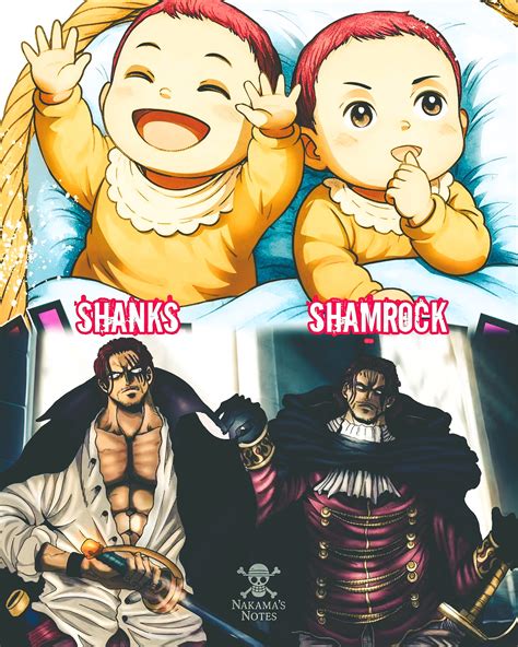 Bebés gemelos en One Piece