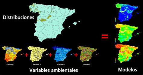 Mapa mostrando la distribución de especies con comportamiento homosexual documentado.