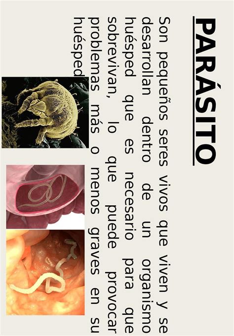 Representación de Baby como un parásito