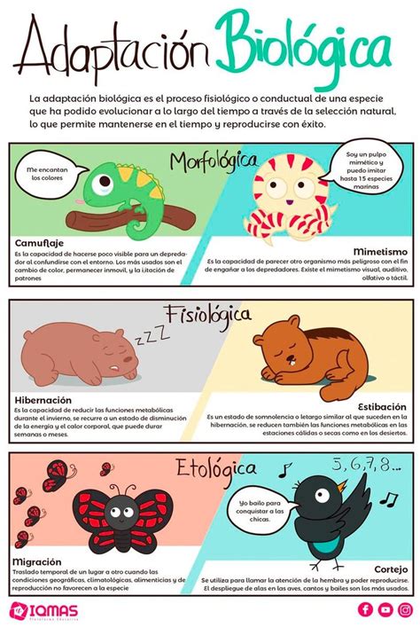 Infografía con ejemplos de adaptaciones de diálogos en Fairy Tail