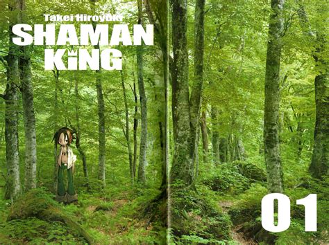 Portada del manga Shaman King Kang Zeng Bang