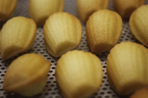 Madeleines recién horneadas