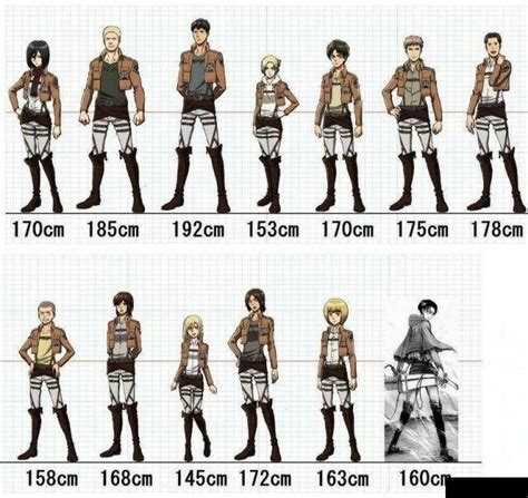 Comparativa de la altura de Levi con otros personajes
