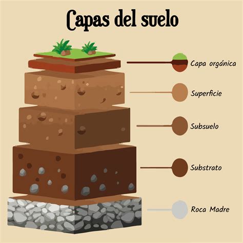 Infografía sobre las capas de construcción del suelo Amtico Spacia