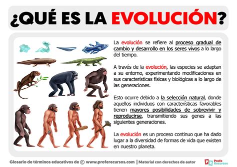 Representación artística del concepto de evolución y selección natural en el mundo ninja