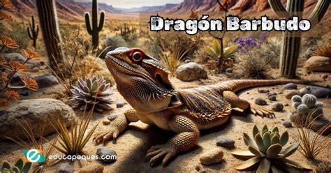 Estructura de un dragón barbudo