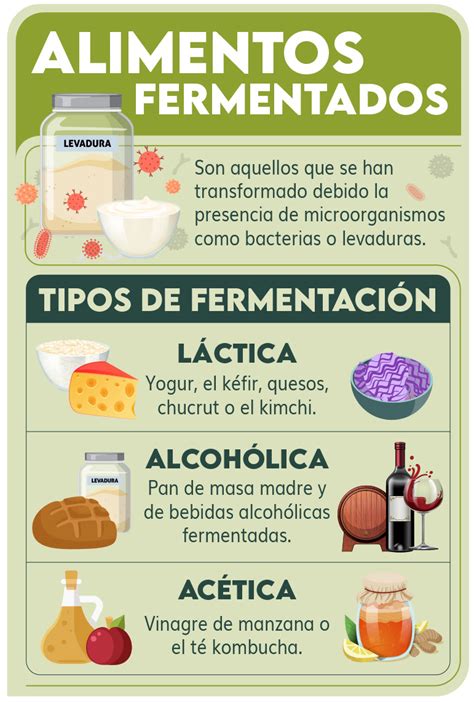 Infografía sobre los beneficios de los aceites fermentados en el cabello