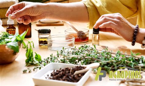 Chopper estudiando plantas medicinales