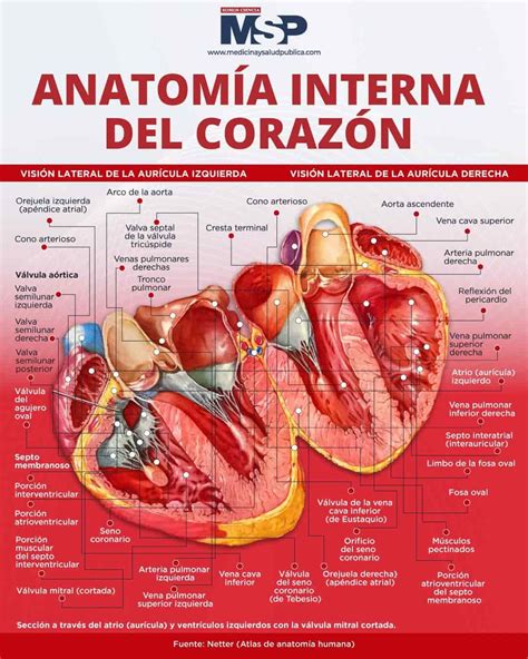 Representación del interior del corazón de Natsu