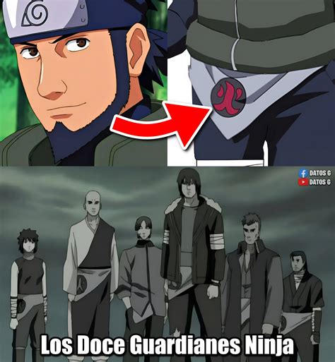 Los Doce Guardianes Ninja