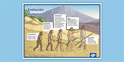 Diagrama explicando las etapas de evolución de Tengen