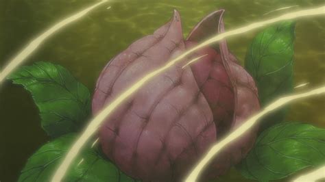 Árbol Divino (Shinju) y Fruto del Chakra