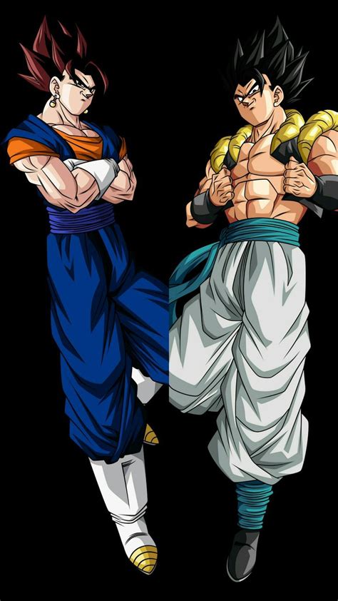 Gogeta y Vegetto lado a lado