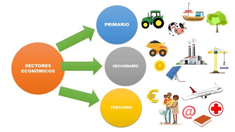 Infografía mostrando la diversidad de sectores dentro de la Economía Solidaria