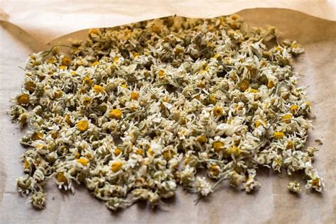 Habitación fresca y seca para almacenar textiles