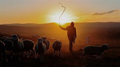 Imagen del pastor Nick con expresión enigmática