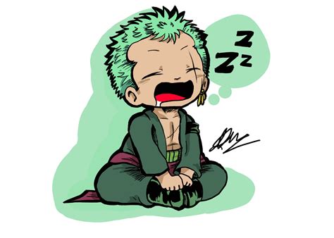 Zoro durmiendo plácidamente