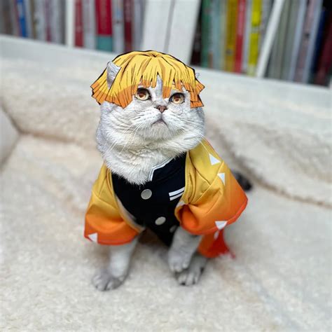 Tabla de tallas de cosplay para mascotas de Demon Slayer